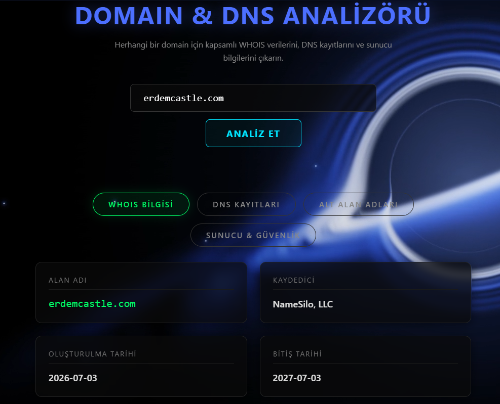 DNS Analyzer Tool